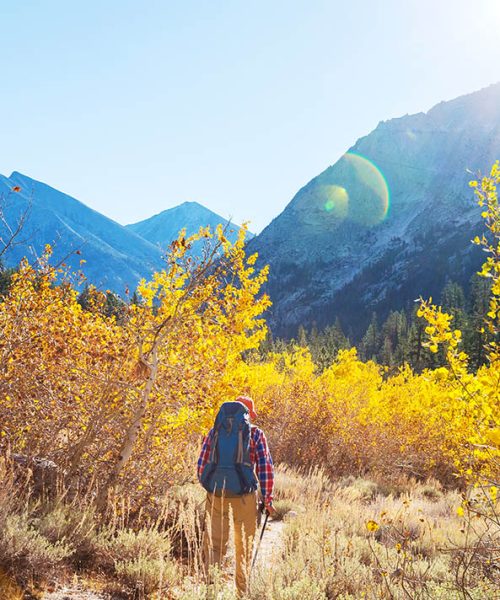 hike-in-autumn-season-PWTVHJR-cropped-vertical.jpg hike-in-autumn-season-PWTVHJR-cropped-vertical.jpg